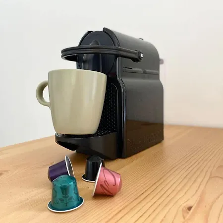 New 344 Birds - Cosy Center