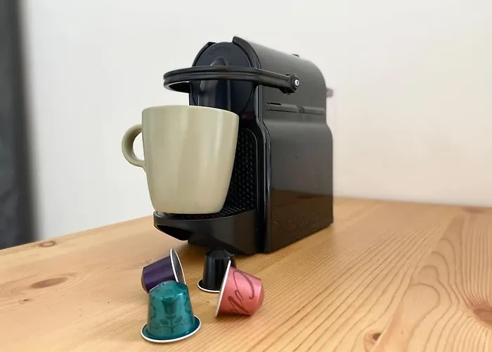 New 344 Birds - Cosy Center